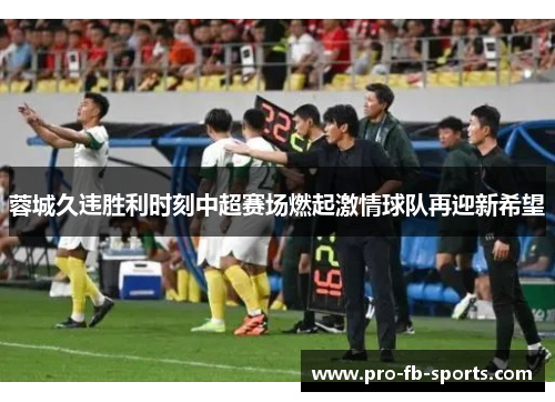 蓉城久违胜利时刻中超赛场燃起激情球队再迎新希望