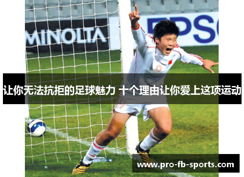 让你无法抗拒的足球魅力 十个理由让你爱上这项运动