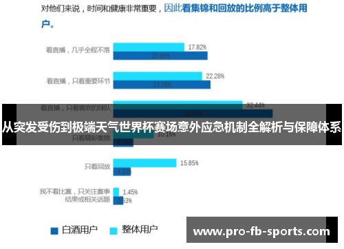 从突发受伤到极端天气世界杯赛场意外应急机制全解析与保障体系